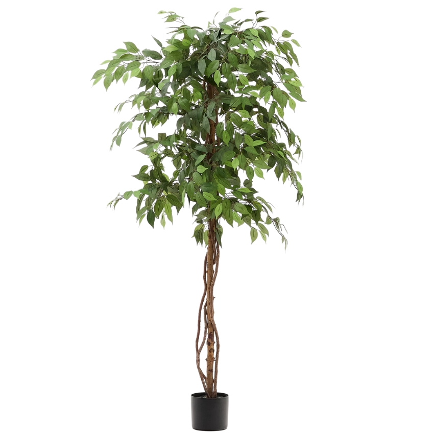 Umělá květina Kave Home Ficus 180 cm